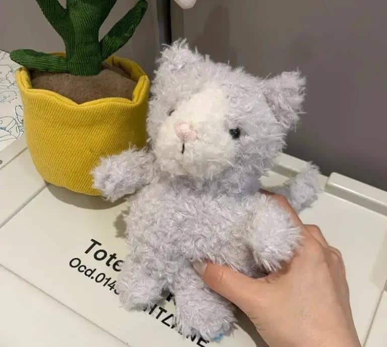 chat jellycat 3