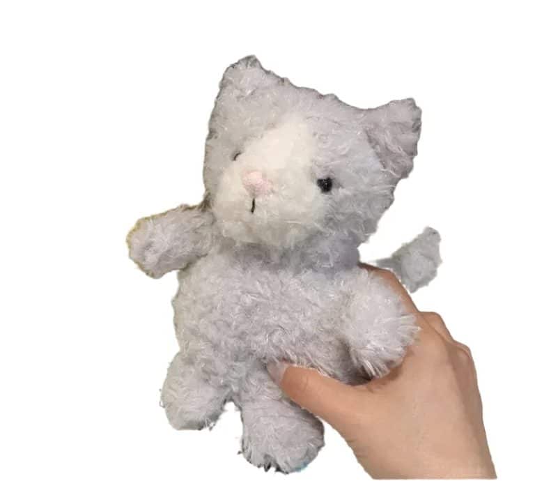 chat jellycat