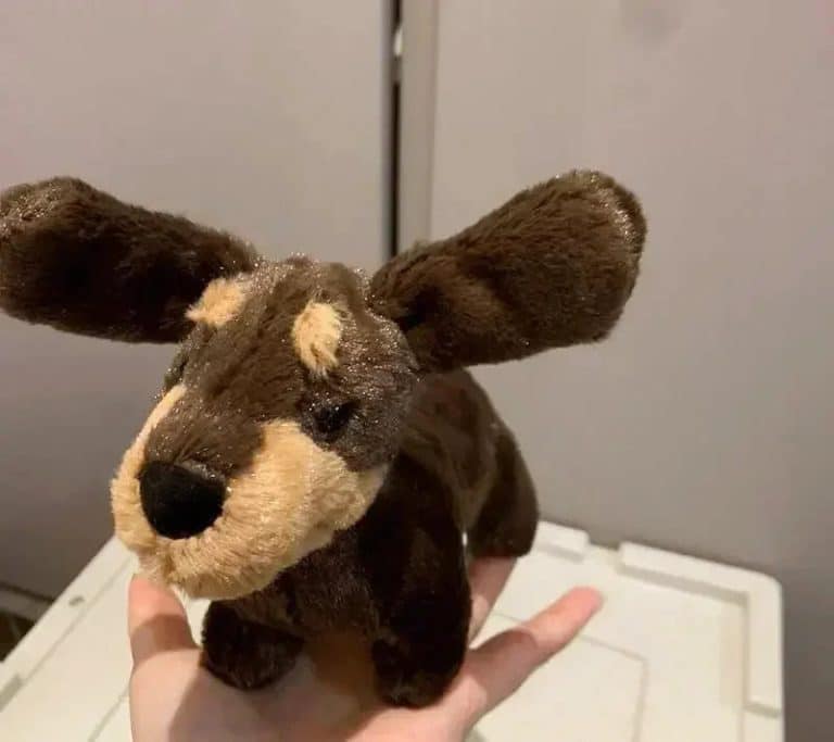 peluche chien jellycat 3