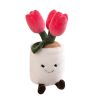 Tulipe