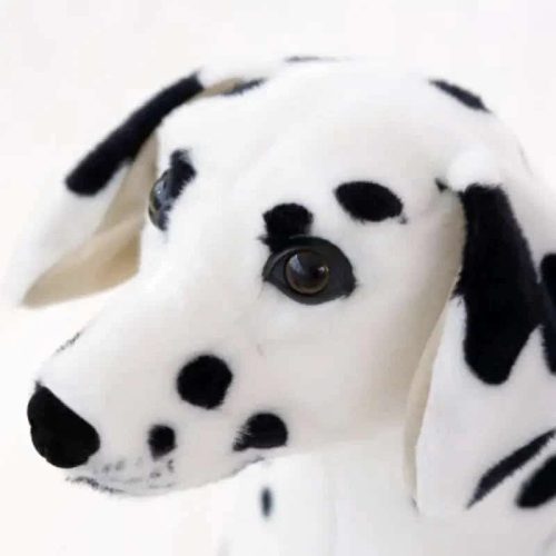 dalmatien peluche 4